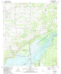 preview thumbnail of historical topo map of Madison County, MS in 1989