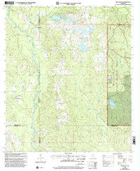 Download a high-resolution, GPS-compatible USGS topo map for Silver Run, MS (2002 edition)