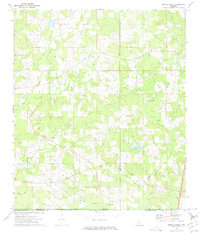 Download a high-resolution, GPS-compatible USGS topo map for Terrys Creek, MS (1975 edition)