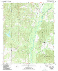 preview thumbnail of historical topo map of Leake County, MS in 1988
