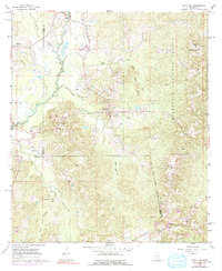 Download a high-resolution, GPS-compatible USGS topo map for White Oak, MS (1991 edition)