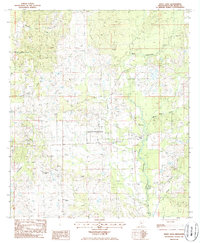 Download a high-resolution, GPS-compatible USGS topo map for White Sand, MS (1986 edition)