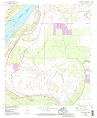 Download a high-resolution, GPS-compatible USGS topo map for Whiting Bayou, MS (1995 edition)