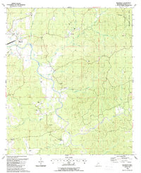 Download a high-resolution, GPS-compatible USGS topo map for Wilkinson, MS (1988 edition)