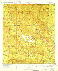 preview thumbnail of historical topo map of Benndale, MS in 1949