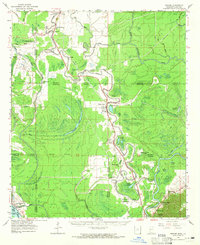 preview thumbnail of historical topo map of Issaquena County, MS in 1963
