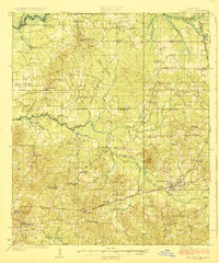1924 Map of Pelahatchie, MS
