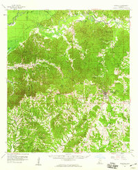 Download a high-resolution, GPS-compatible USGS topo map for Woodville, MS (1960 edition)