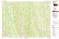 preview thumbnail of historical topo map of Flathead County, MT in 1988