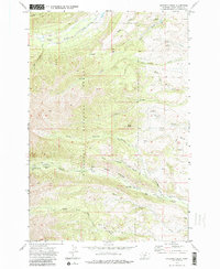 Download a high-resolution, GPS-compatible USGS topo map for Amelong Creek, MT (1986 edition)