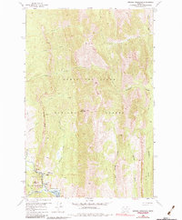 Download a high-resolution, GPS-compatible USGS topo map for Arsenic Mountain, MT (1984 edition)