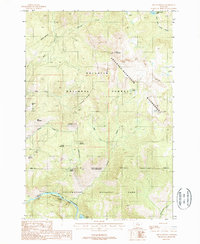 Download a high-resolution, GPS-compatible USGS topo map for Ash Mountain, MT (1988 edition)