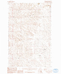 Download a high-resolution, GPS-compatible USGS topo map for Ashford Coulee, MT (1984 edition)