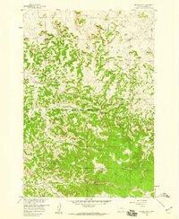 Download a high-resolution, GPS-compatible USGS topo map for Badger Peak, MT (1960 edition)