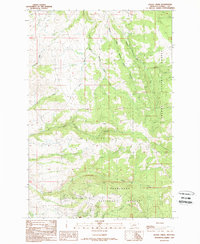 Download a high-resolution, GPS-compatible USGS topo map for Baggs Creek, MT (1989 edition)