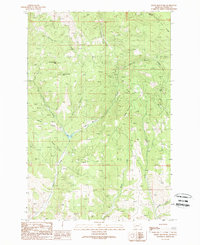 Download a high-resolution, GPS-compatible USGS topo map for Bailey Mountain, MT (1989 edition)