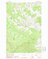 Download a high-resolution, GPS-compatible USGS topo map for Bald Knob, MT (1987 edition)