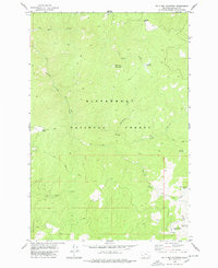 Download a high-resolution, GPS-compatible USGS topo map for Bald Top Mountain, MT (1978 edition)