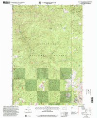 Download a high-resolution, GPS-compatible USGS topo map for Bald Top Mountain, MT (2002 edition)