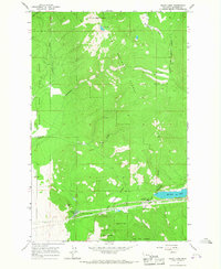 Download a high-resolution, GPS-compatible USGS topo map for Baldy Lake, MT (1967 edition)