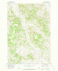 Download a high-resolution, GPS-compatible USGS topo map for Baldy Peak, MT (1973 edition)