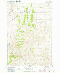 Download a high-resolution, GPS-compatible USGS topo map for Bannack, MT (1979 edition)
