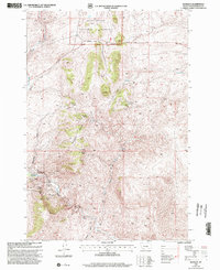 Download a high-resolution, GPS-compatible USGS topo map for Bannack, MT (2002 edition)