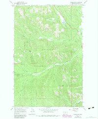 Download a high-resolution, GPS-compatible USGS topo map for Barren%20Peak, MT (1984 edition)