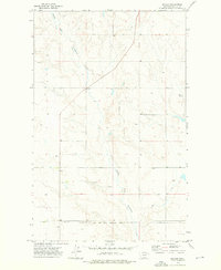 Download a high-resolution, GPS-compatible USGS topo map for Baylor, MT (1976 edition)