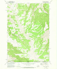 preview thumbnail of historical topo map of Big Horn County, MT in 1969