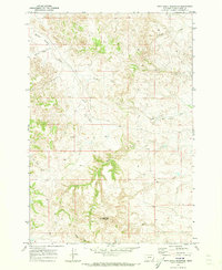 Download a high-resolution, GPS-compatible USGS topo map for Bear Skull Mountain, MT (1973 edition)