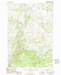 Download a high-resolution, GPS-compatible USGS topo map for Bear Trap Creek, MT (1988 edition)