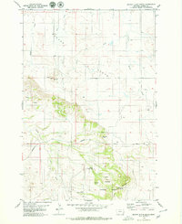 Download a high-resolution, GPS-compatible USGS topo map for Beaver Flats South, MT (1979 edition)