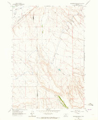 Download a high-resolution, GPS-compatible USGS topo map for Beaverhead Rock SW, MT (1964 edition)