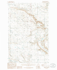Download a high-resolution, GPS-compatible USGS topo map for Belgian Hill, MT (1986 edition)