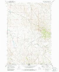 Download a high-resolution, GPS-compatible USGS topo map for Belle Creek SW, MT (1986 edition)
