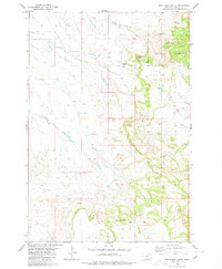 Download a high-resolution, GPS-compatible USGS topo map for Belltower Butte, MT (1980 edition)