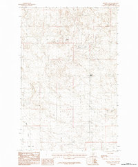Download a high-resolution, GPS-compatible USGS topo map for Bennett Lake, MT (1984 edition)