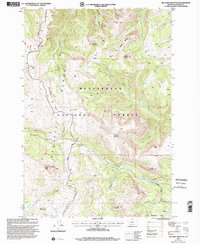 Download a high-resolution, GPS-compatible USGS topo map for Big Horn Mountain, MT (2002 edition)