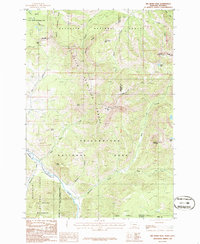 Download a high-resolution, GPS-compatible USGS topo map for Big%20Horn%20Peak, MT (1986 edition)
