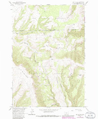 Download a high-resolution, GPS-compatible USGS topo map for Big Ice Cave, MT (1986 edition)