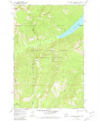 Download a high-resolution, GPS-compatible USGS topo map for Big Salmon Lake West, MT (1981 edition)