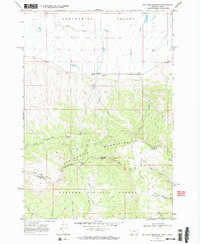 Download a high-resolution, GPS-compatible USGS topo map for Big Table Mountain, MT (1984 edition)