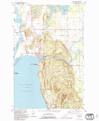 Download a high-resolution, GPS-compatible USGS topo map for Bigfork, MT (1995 edition)