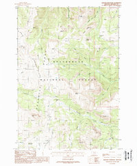 Download a high-resolution, GPS-compatible USGS topo map for Bighorn Mountain, MT (1988 edition)