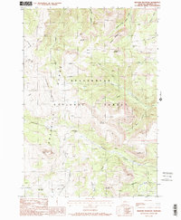 Download a high-resolution, GPS-compatible USGS topo map for Bighorn Mountain, MT (1988 edition)