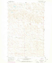 Download a high-resolution, GPS-compatible USGS topo map for Billick%20Coulee, MT (1978 edition)