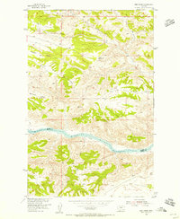 Download a high-resolution, GPS-compatible USGS topo map for Bird Rapids, MT (1956 edition)