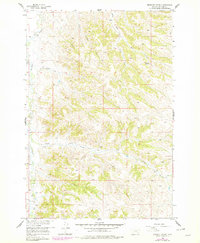 Download a high-resolution, GPS-compatible USGS topo map for Birdseye Spring, MT (1978 edition)