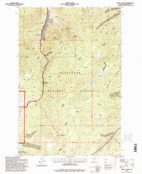 Download a high-resolution, GPS-compatible USGS topo map for Bison Canyon, MT (1998 edition)